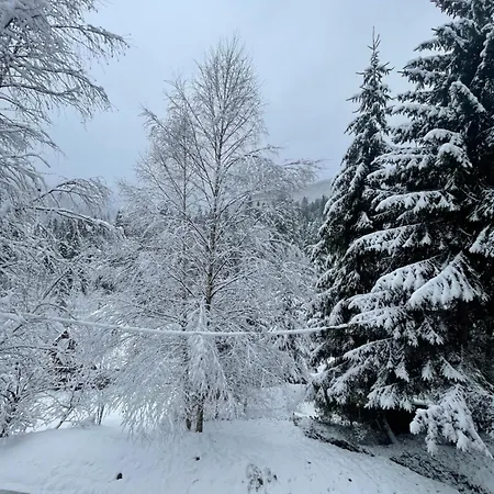 Khatky Na Penkakh Vorokhta